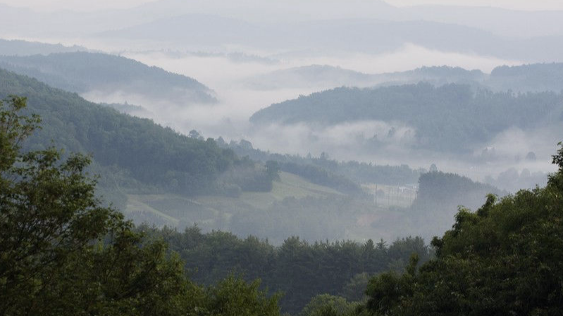 sapphire valley rentals